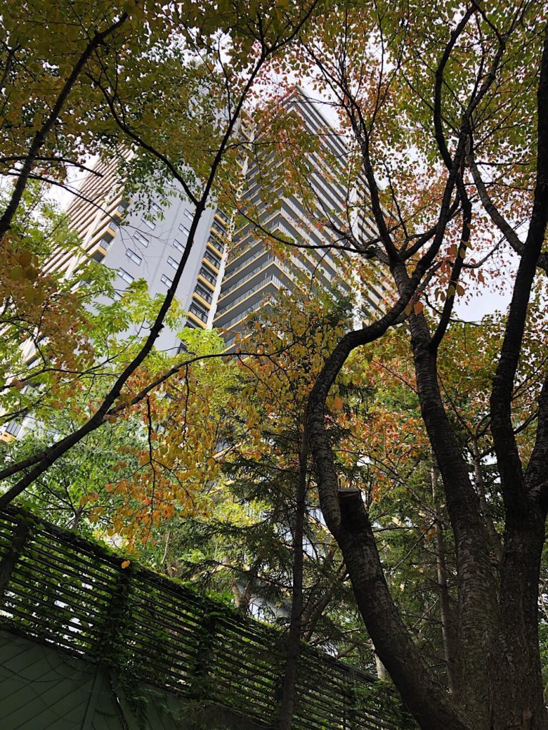 森の隙間から見える「ラ・トゥール札幌伊藤ガーデン」