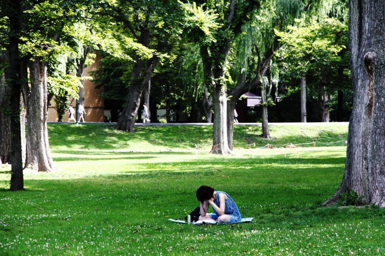 緑が美しい夏の北海道大学キャンパス