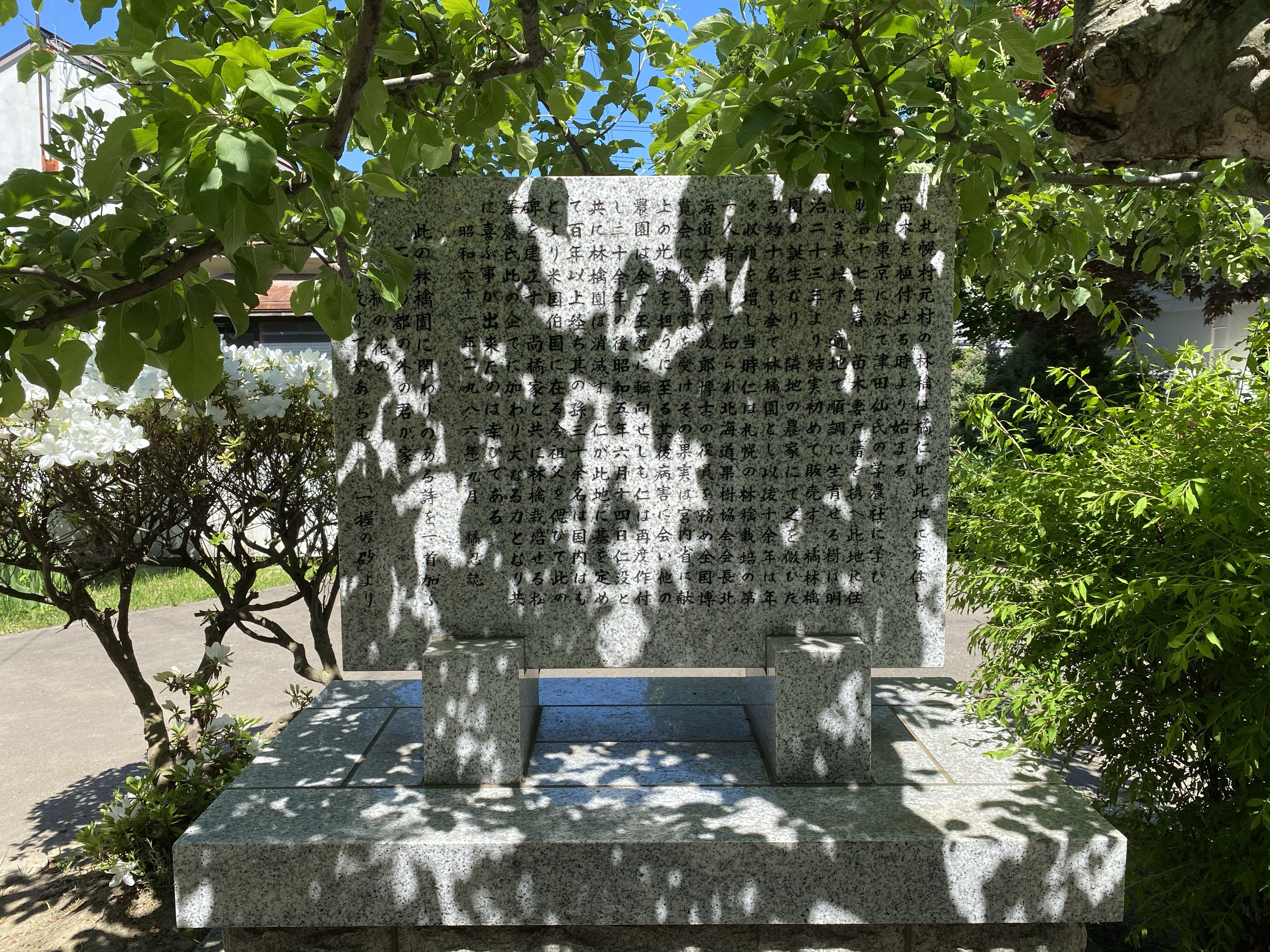 碑の裏面には詳しい由来と一緒に、石川啄木の歌が刻まれている