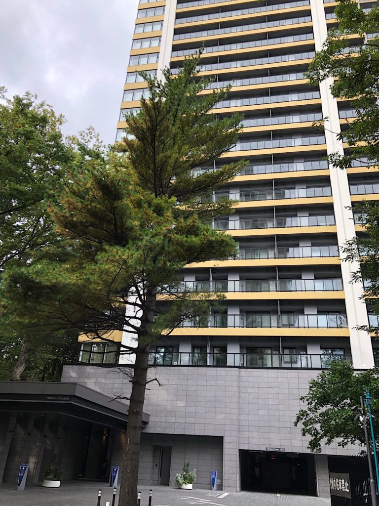 マンション前から見上げる「ラ・トゥール札幌伊藤ガーデン」