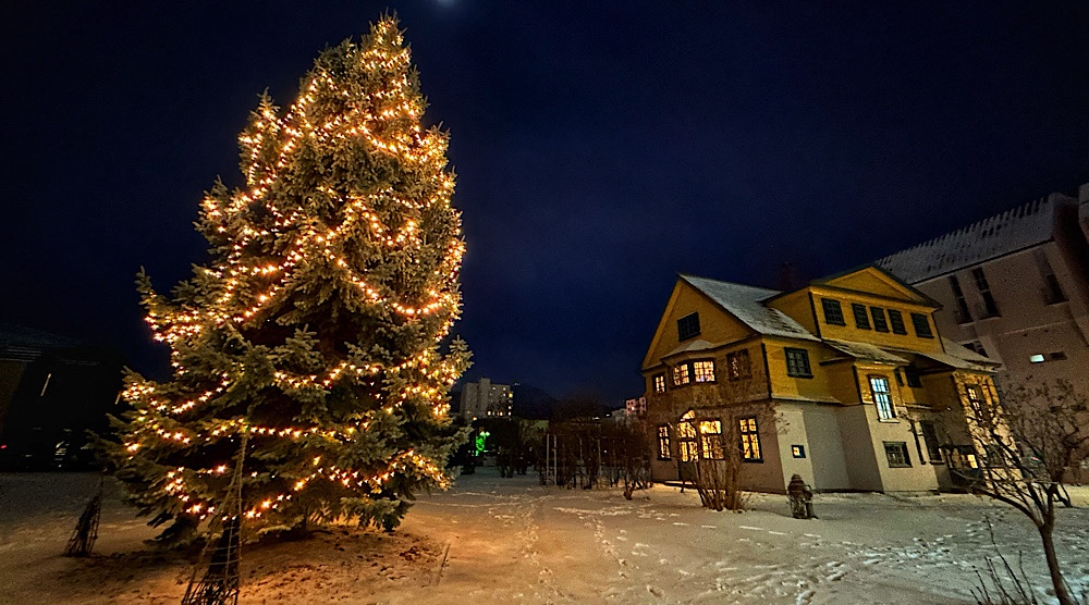 北星学園創立百周年記念館とクリスマスツリー